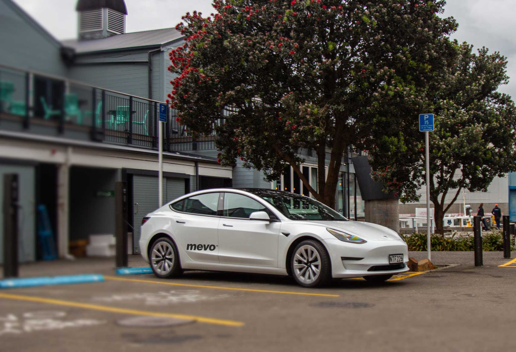 Tesla Model 3 charging at Mevo car share parks on Queens Wharf, Wellington