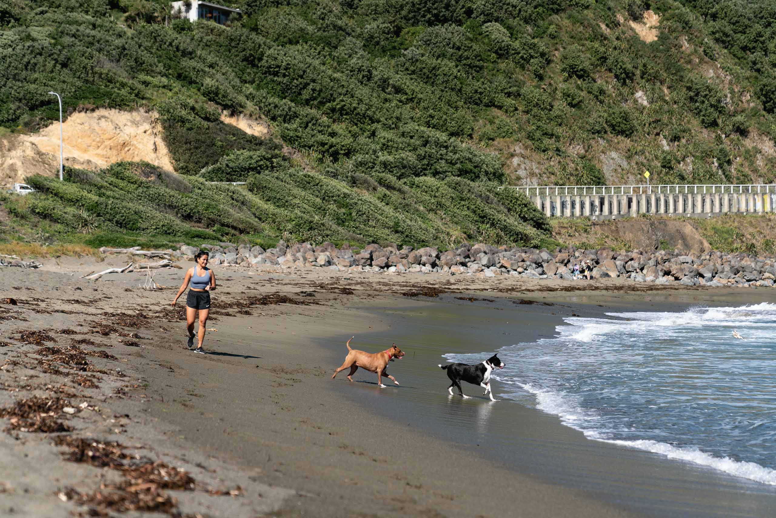 Tricia and the dogs on the beach in Wellington.